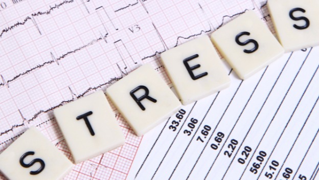 Senior Snippets - Tips for Reducing Stress