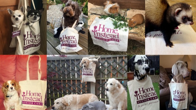 Doggy Bags