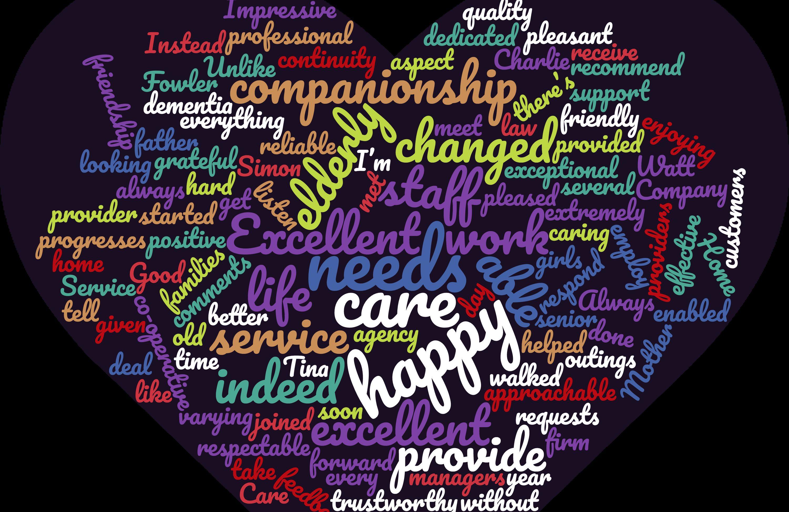WordCloud of words Clients used to describe our care
