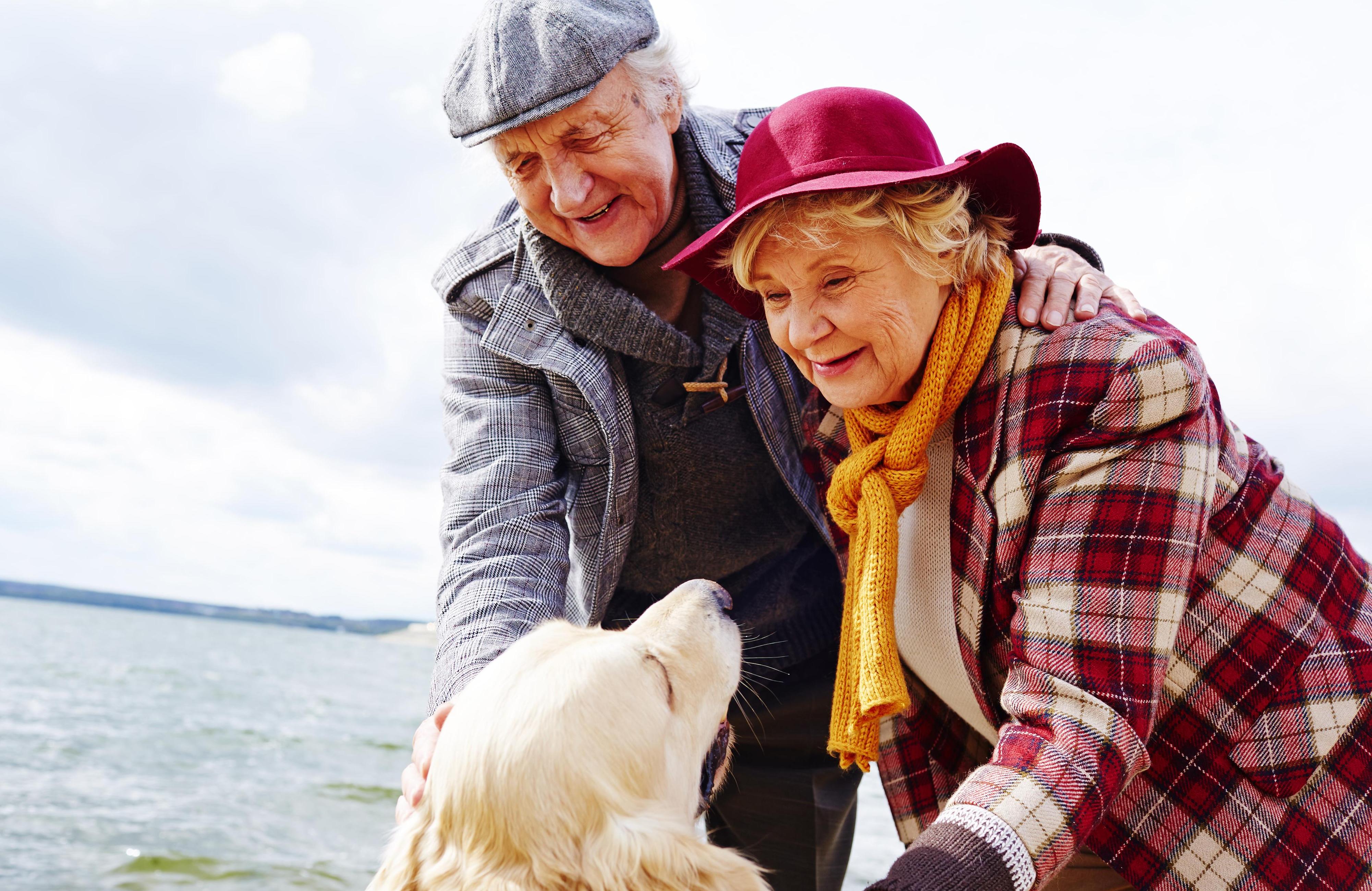 s your loved one waiting for the right in-home support so that they can leave hospital? If so, HISC offer you bespoke services to help get your relative home sooner and safer.